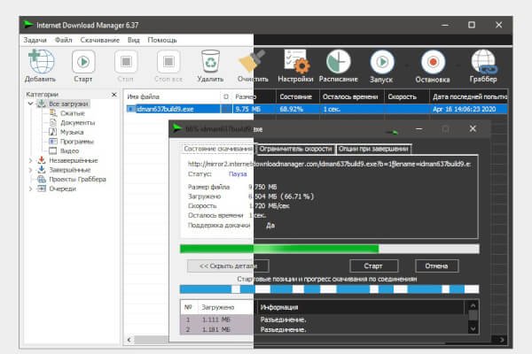 Internet Download Manager 6.42.61 (Repack)