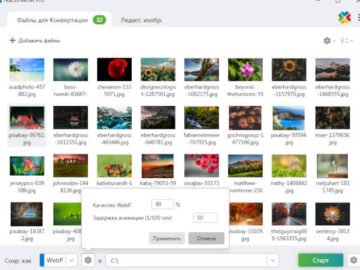 reaConverter Pro 8.0.199 (Repack & Portable)