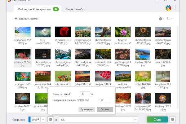 reaConverter Pro 8.0.199 (Repack & Portable)