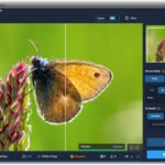 Topaz Gigapixel 8.4.4 (Repack & Portable)