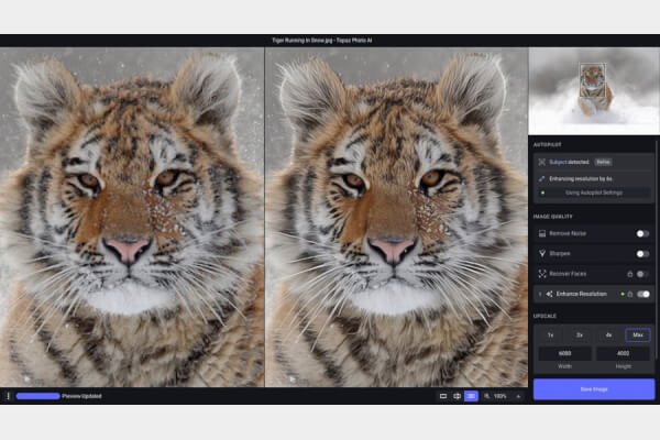 Topaz Photo 1.2.2 (Repack & Portable)