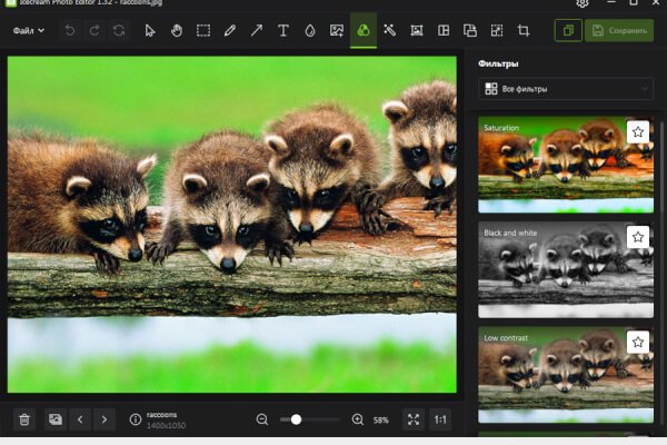 Icecream Photo Editor 1.53 (Repack & Portable)