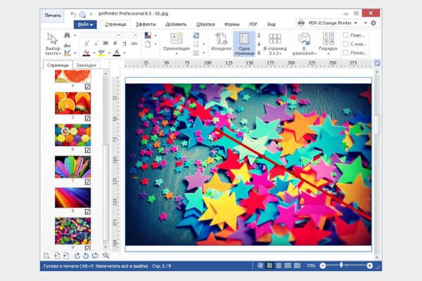 priPrinter Professional 7.0.0.2609 (Repack)