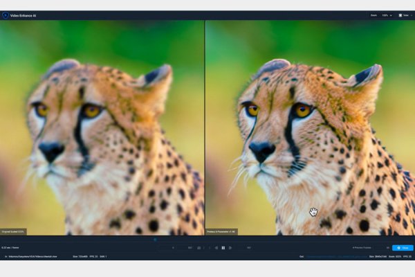 Topaz Video 7.1.3 (Repack & Portable)